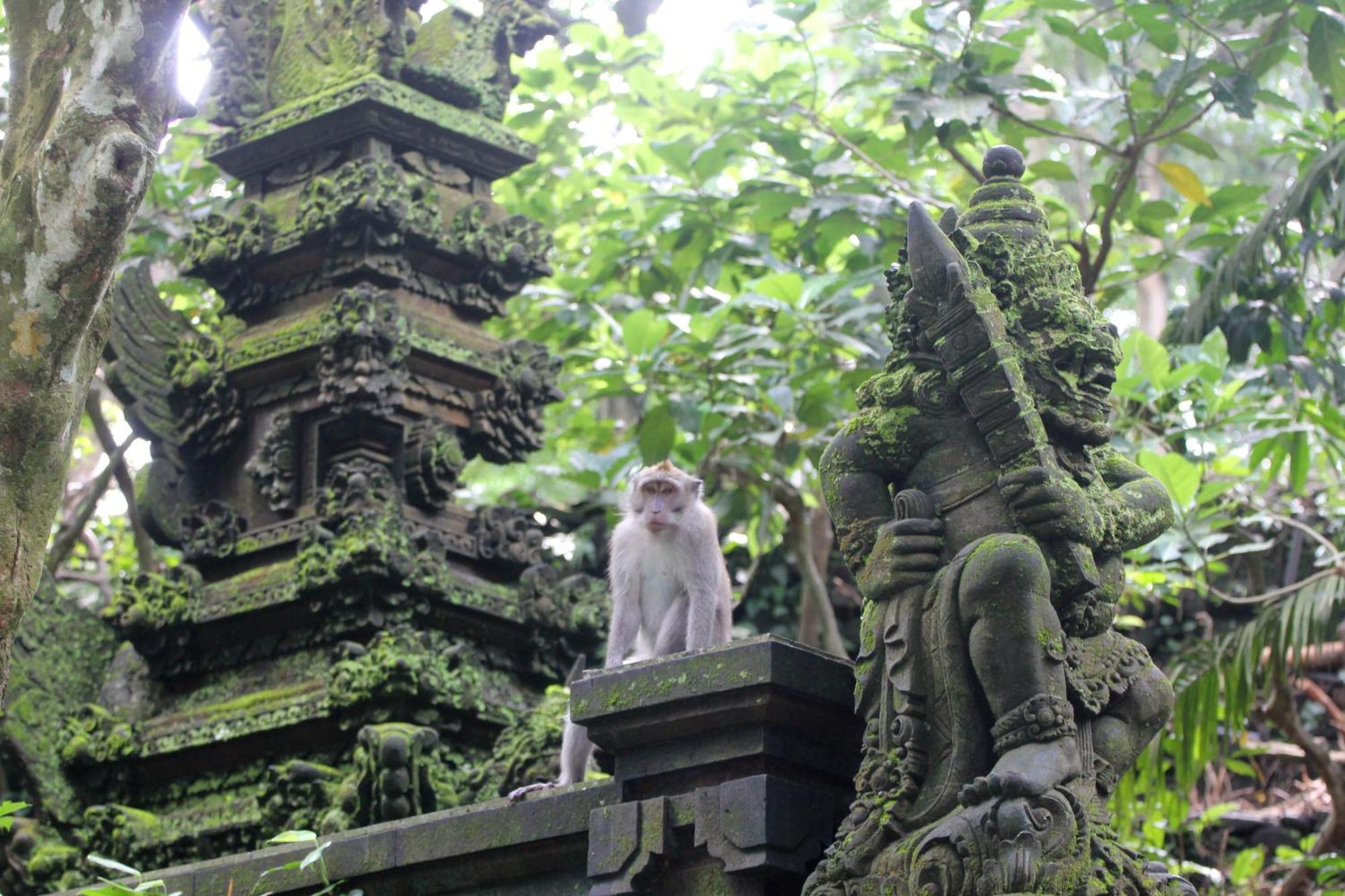Sari Gong Guest House, A Trishula Collection Ubud Zewnętrze zdjęcie